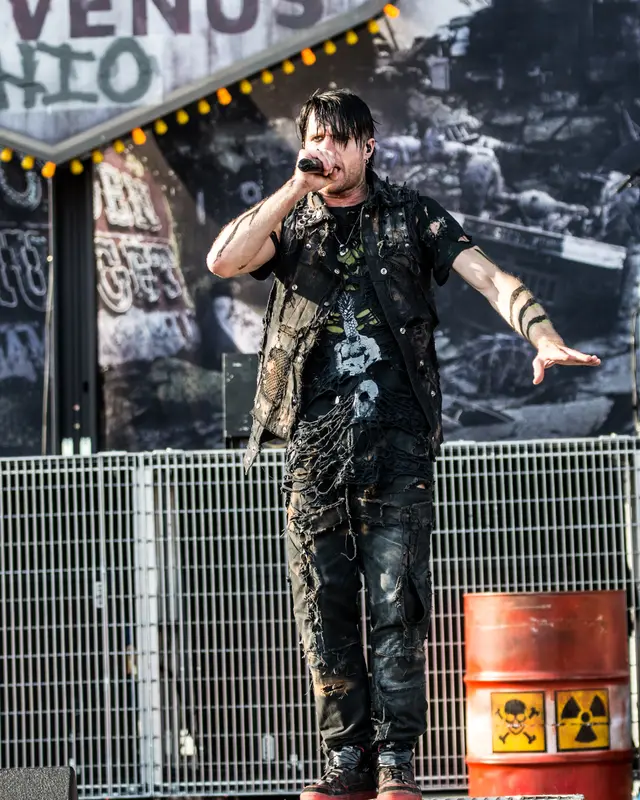 Three Days Grace live in concert