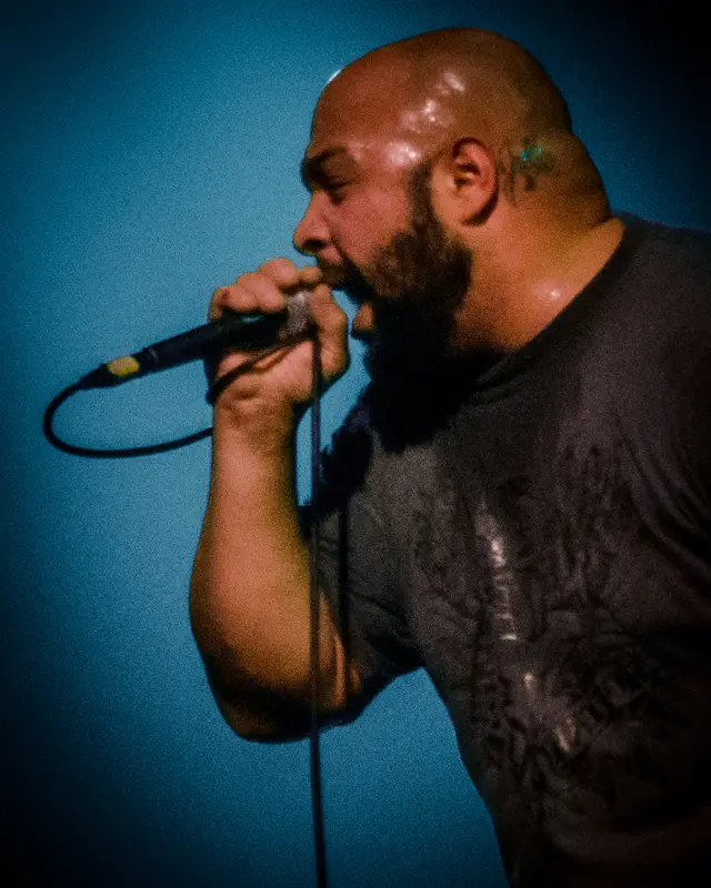 Wisdom In Chains live in concert